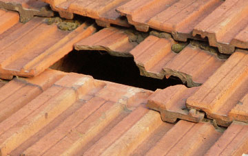 roof repair Milo, Carmarthenshire